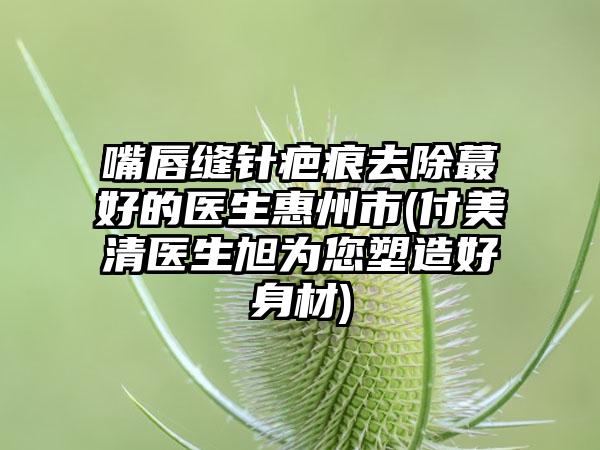 嘴唇縫針疤痕去除蕞好的醫(yī)生惠州市(付美清醫(yī)生旭為您塑造好身材)